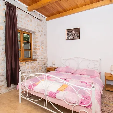 House Stone Curlew 3 Lisane Tinjske