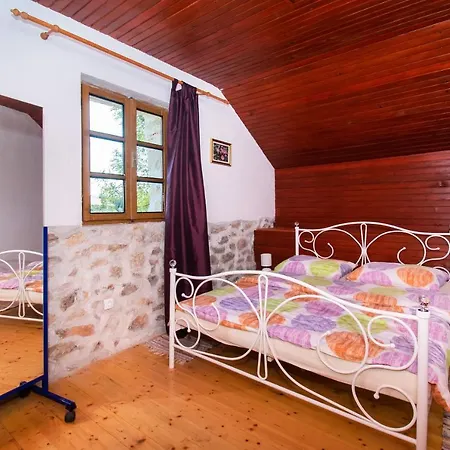 House Stone Curlew 3 *