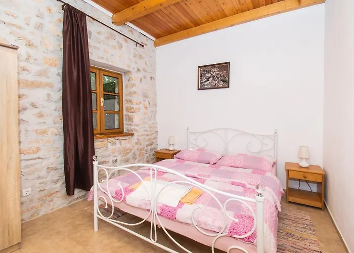 House Stone Curlew 3 Lisane Tinjske